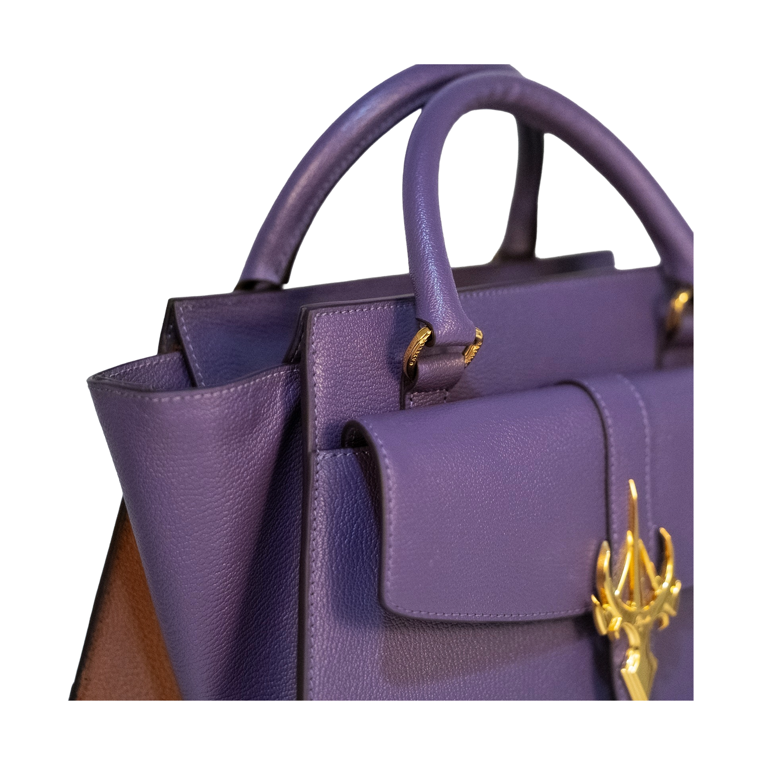 الظبي البنفسجي والجملي