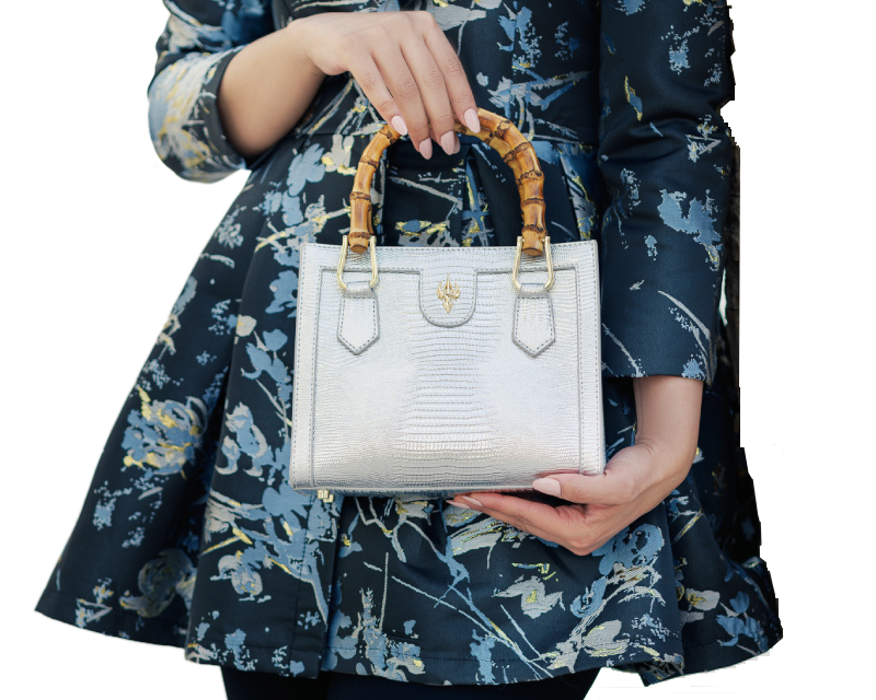 حقيبة يد فضية صغيرة